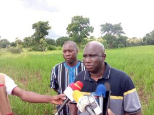 Campagne -agricole –dans- le -sud-ouest- la- physionomie -des -plants -se -présente -assez -bien.